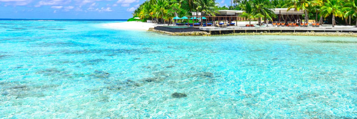 manuela_antony's profile banner image