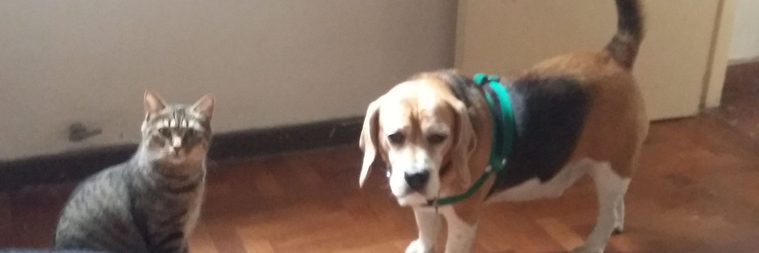 Emiliano N. Quaglio banner