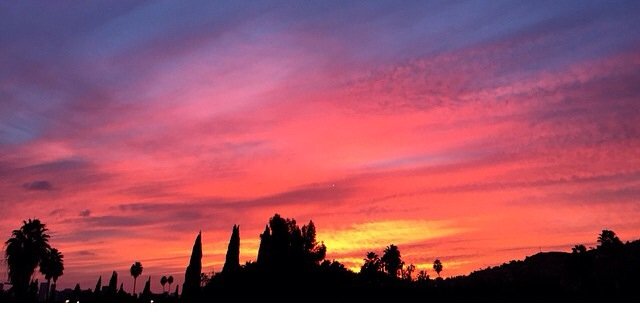 Veronica Sinclair banner