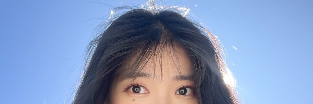 nocureforfoolss's profile banner image