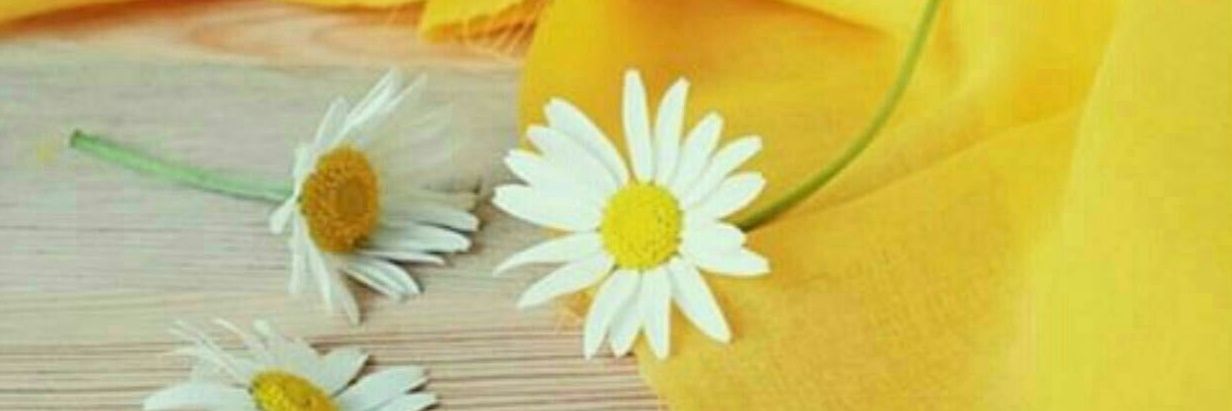 Mwlan1's profile banner image