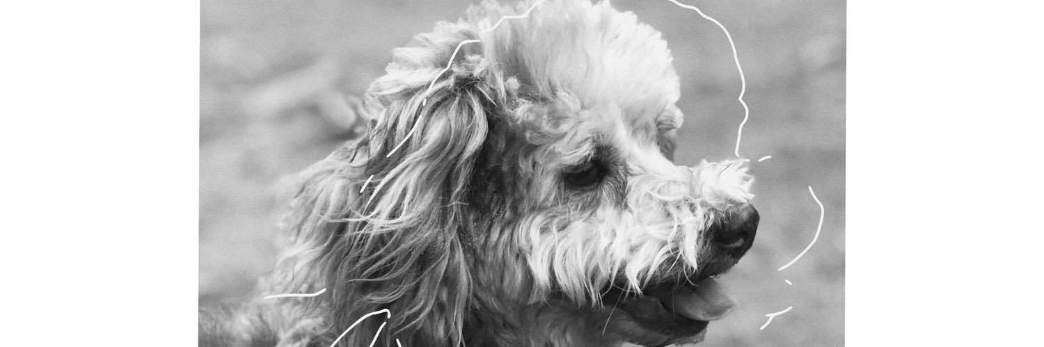 madeleinmon14's profile banner image