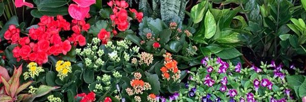 Monique_212 Profile Banner