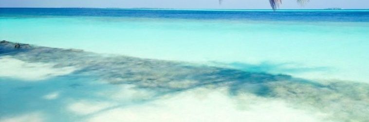 ValeCingolani1's profile banner image