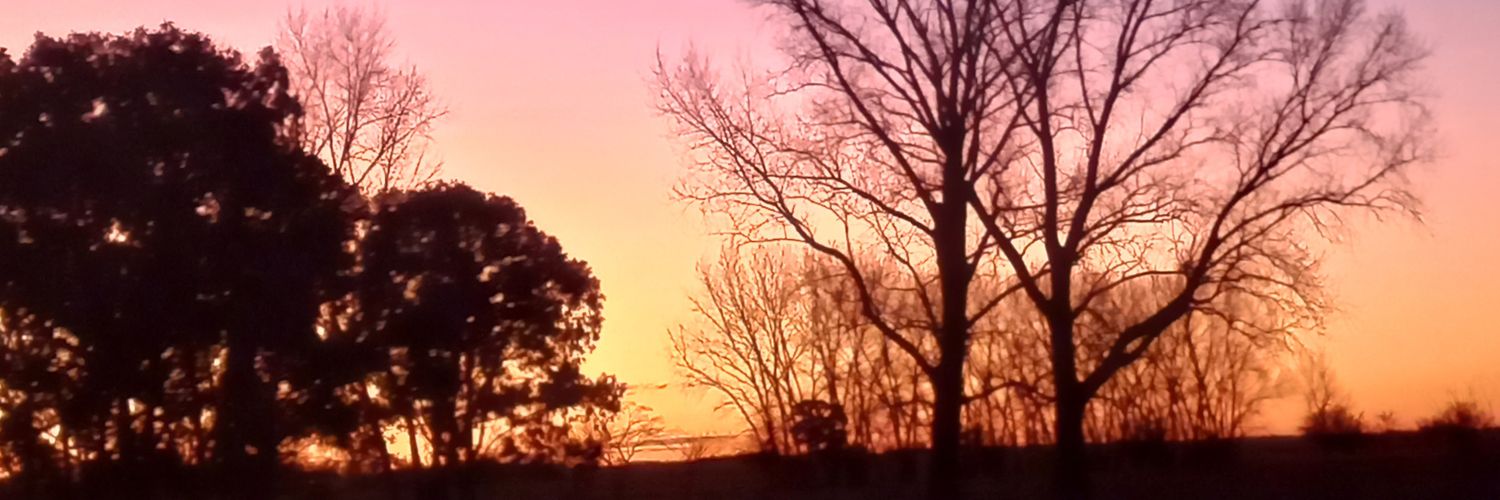 TCaraccio's profile banner image