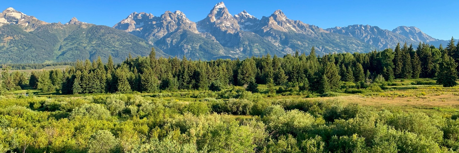 4GOODStakePool banner