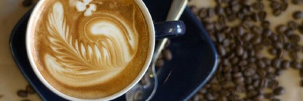 DrinkOrganic Profile Banner