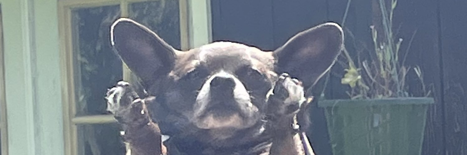melchambz's profile banner image
