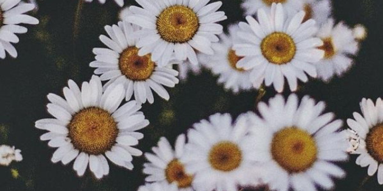 AmyLadd1's profile banner image