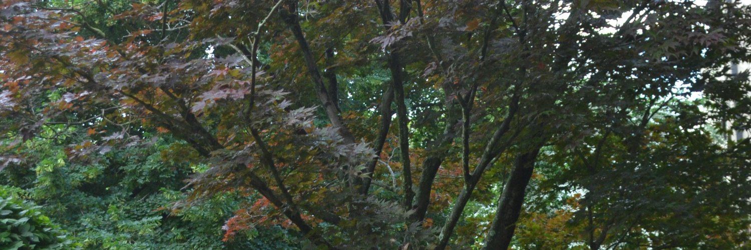 dougdog84's profile banner image