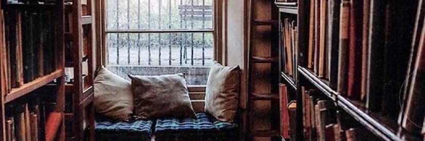 Bria Fournier banner