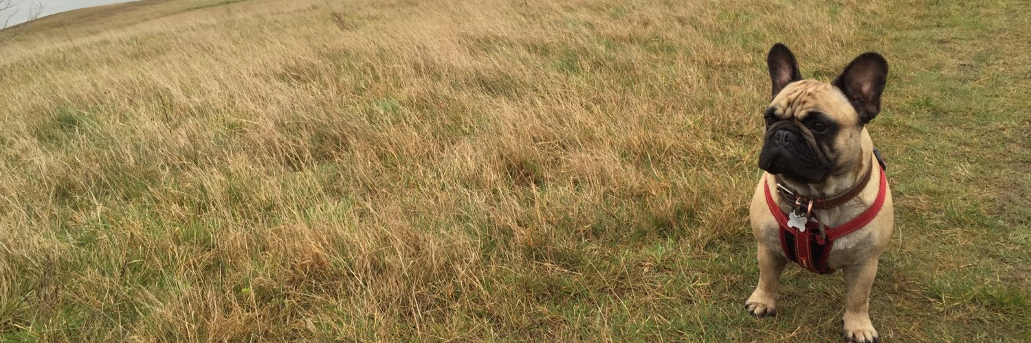 PeteMorganTT's profile banner image