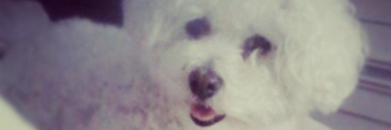 DanielleNConte's profile banner image