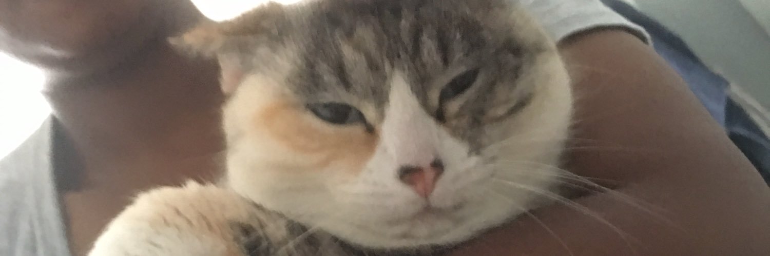 jord_board's profile banner image