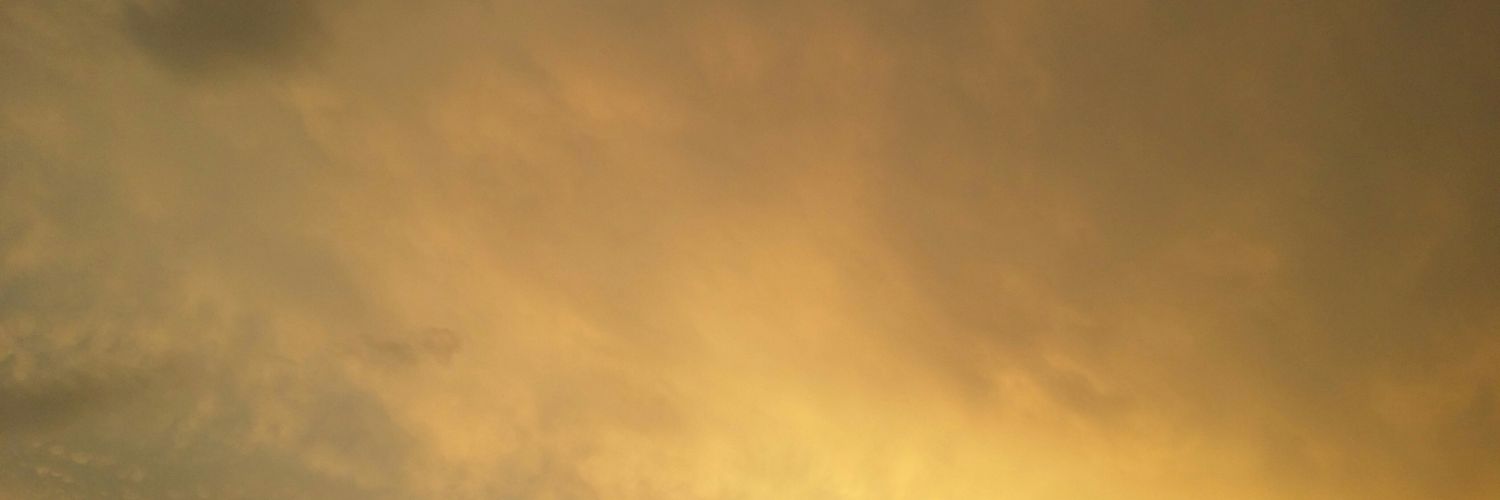 Digital9319's profile banner image