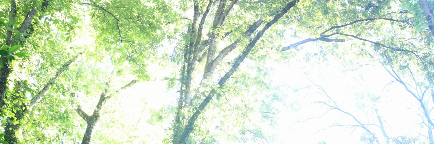 Ethan Fenderson 📷 banner