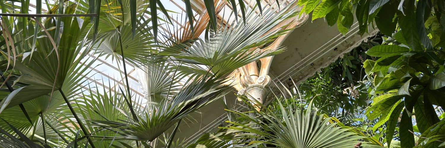 dilotic's profile banner image