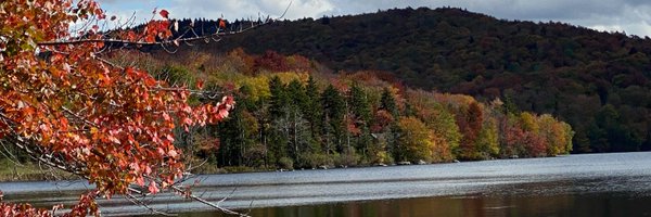 RachelMoonMD Profile Banner