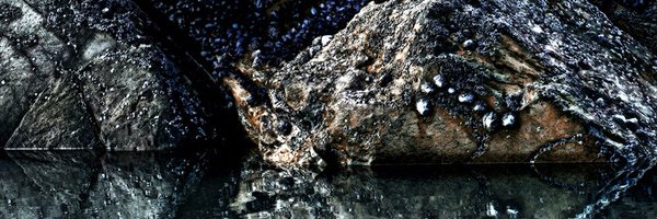 LesSalamandas Profile Banner