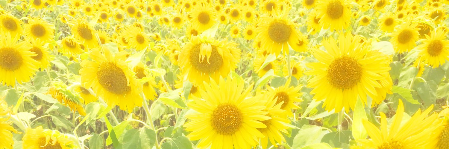 YoneKyoo's profile banner image