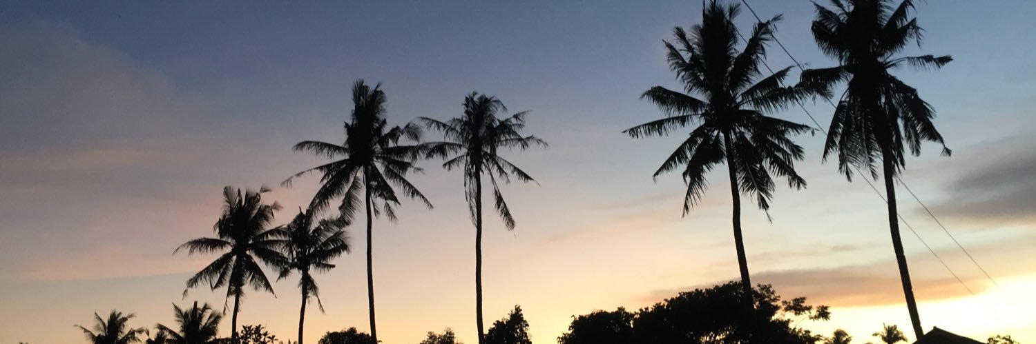fikliperdana's profile banner image