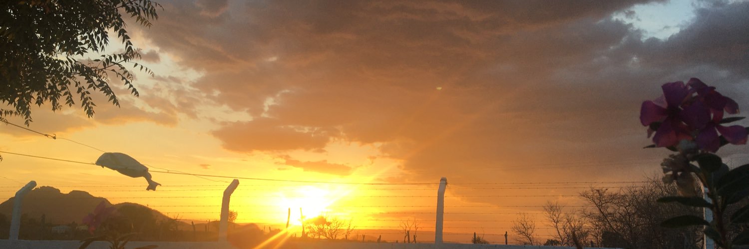 viicck11's profile banner image