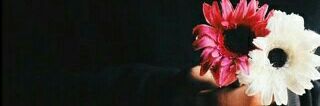 M_uub's profile banner image