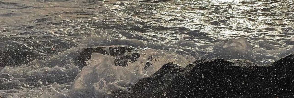 stephmtd's profile banner image
