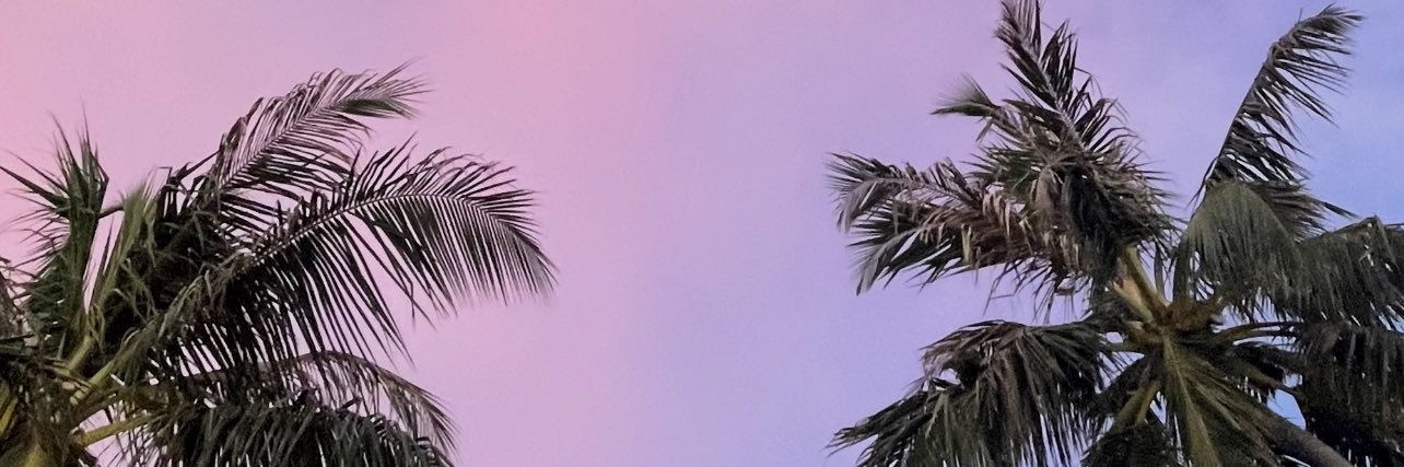 N 🦋 banner