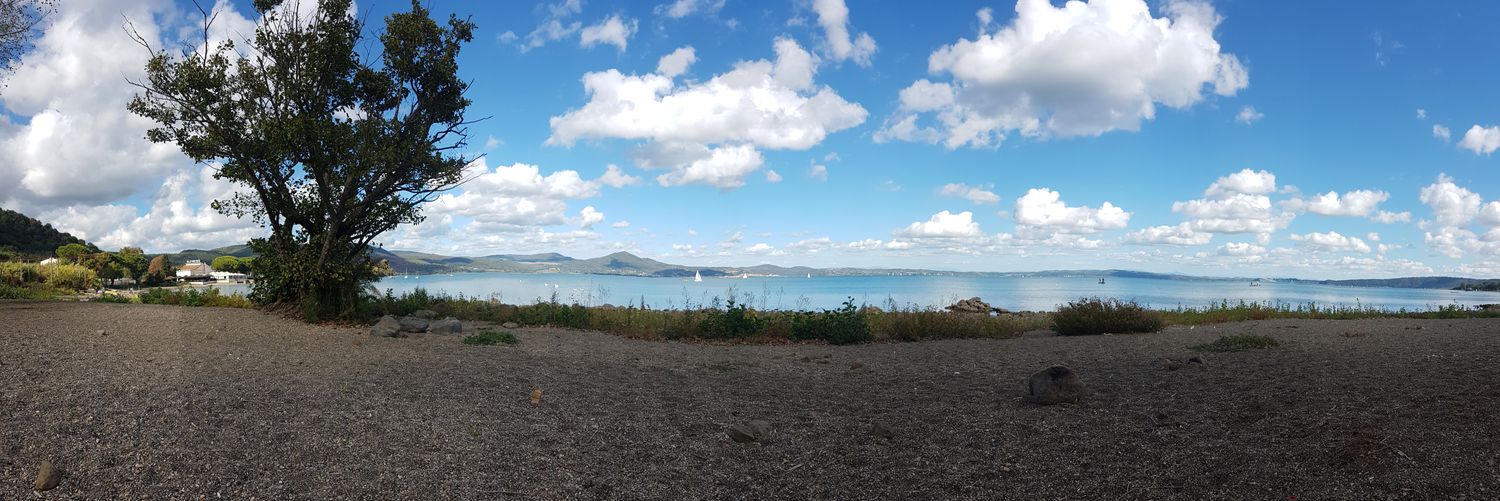 ThatCrazyDude banner