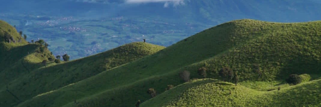 ddibog_'s profile banner image