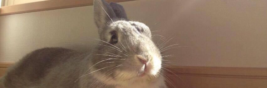 鈴木 崇弘Takahiro Suzuki banner