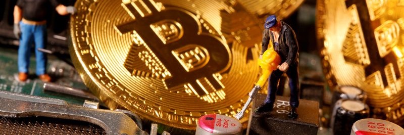 XXX banner