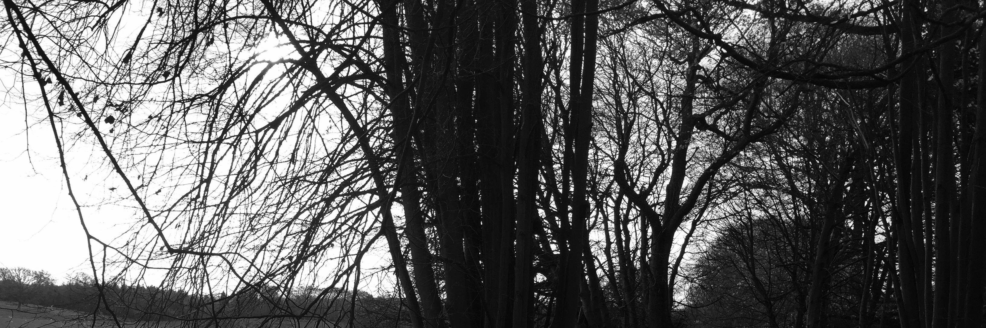 Thomas du Plessis banner