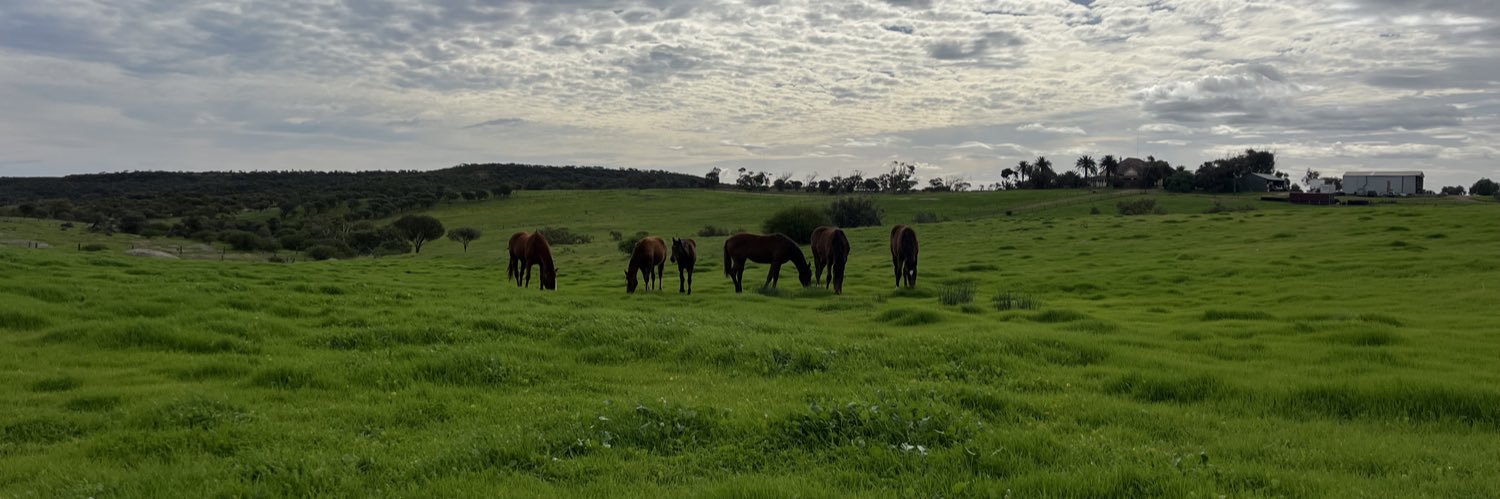 Ruby Racing and Breeding banner