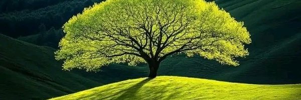 as_siglie Profile Banner