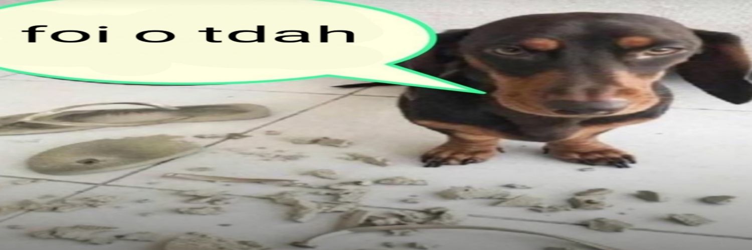posts pra quem tem TDAH's banner