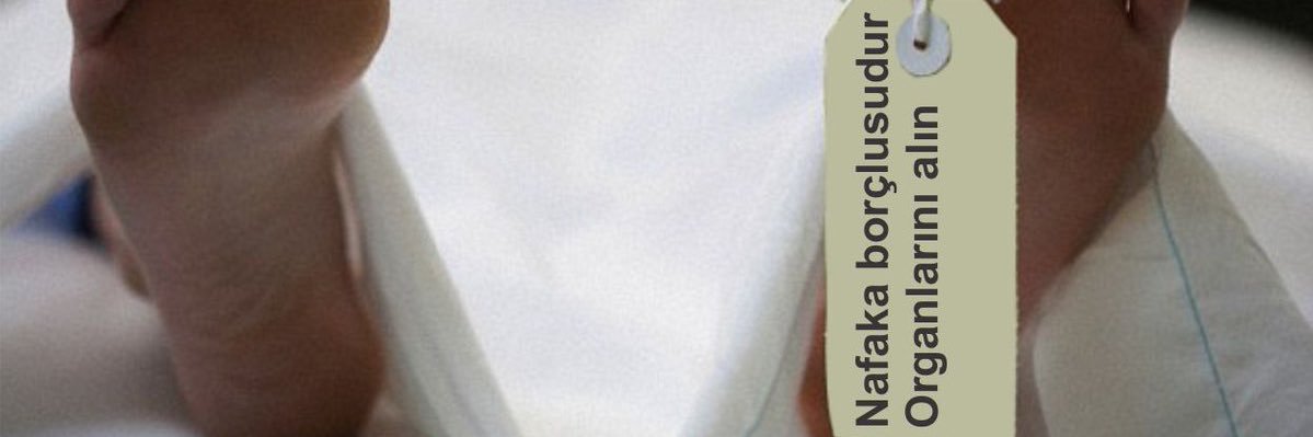 Nafakatör banner