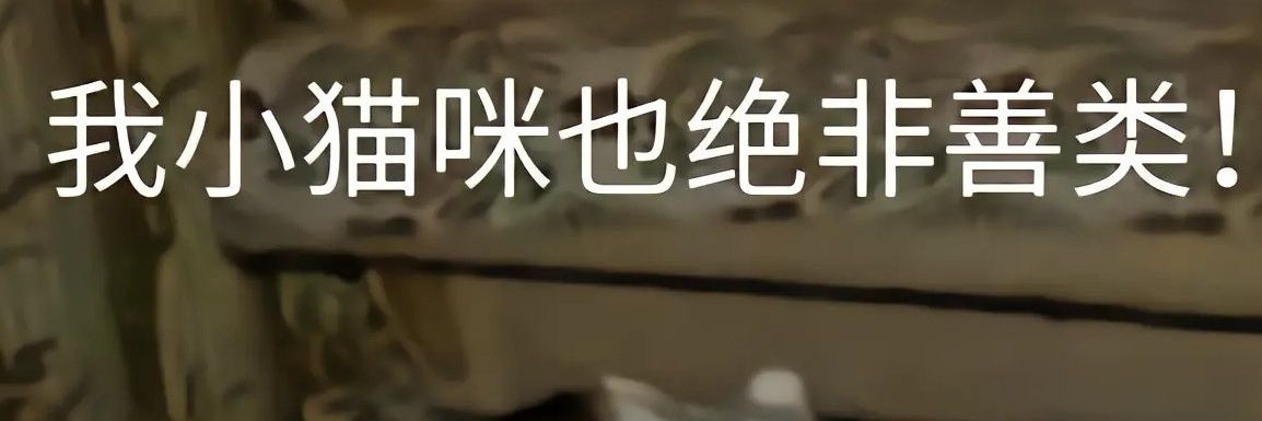 月 banner
