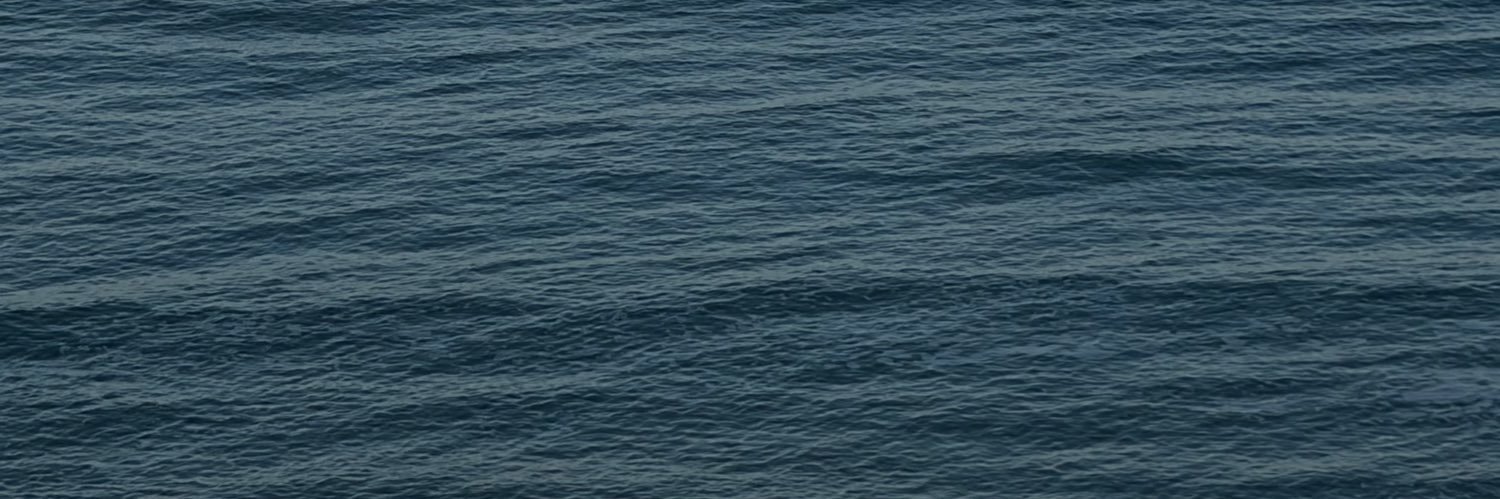 atellota's profile banner image