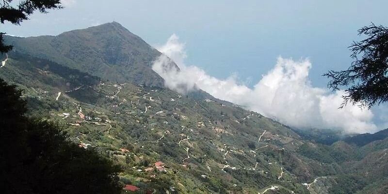 santitoro's profile banner image