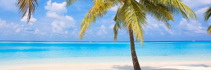 TurboBullCapital banner