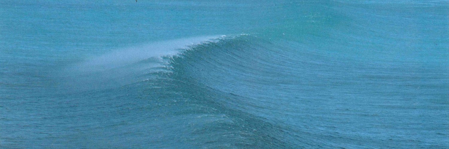 Matthew Ritchie banner