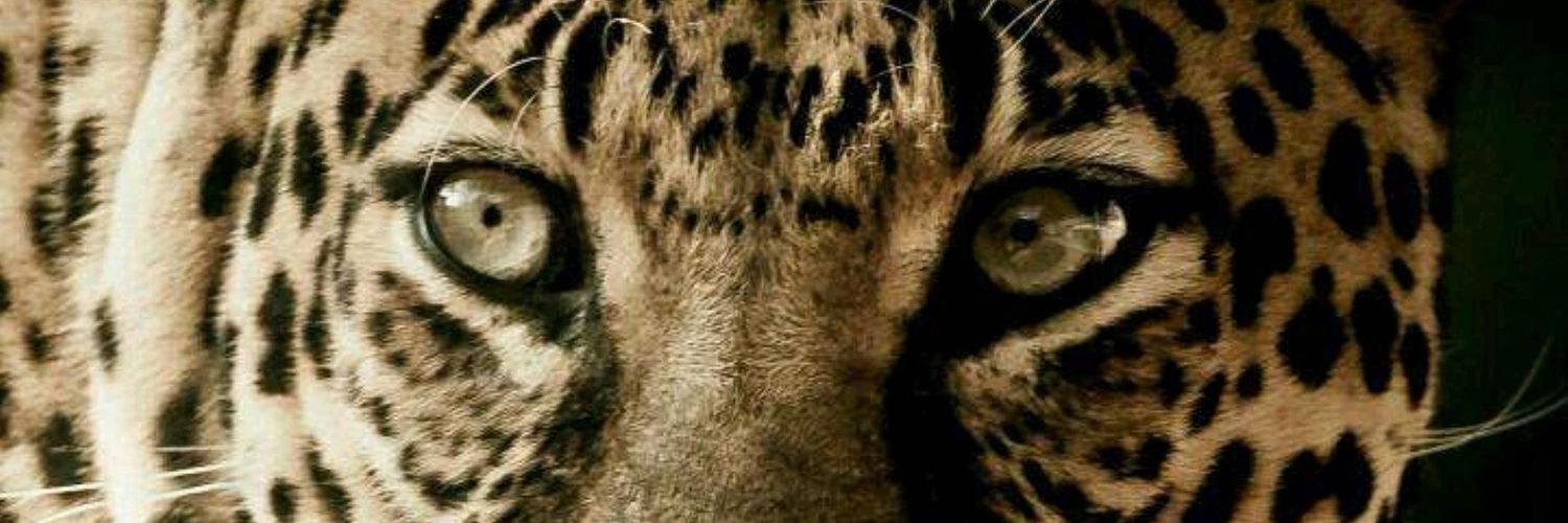 KayvohMmoja's profile banner image