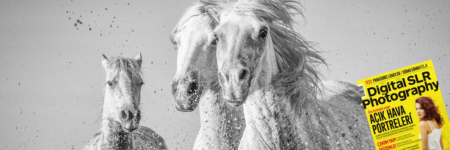 dslrtr's profile banner image