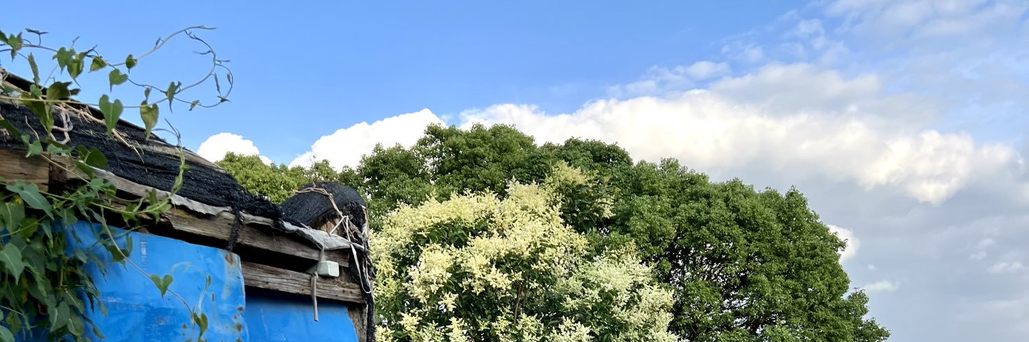 向阳的韭菜 banner