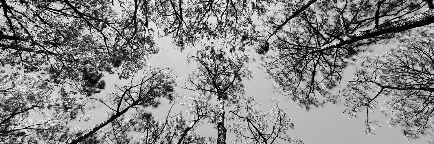 mrchevere's profile banner image