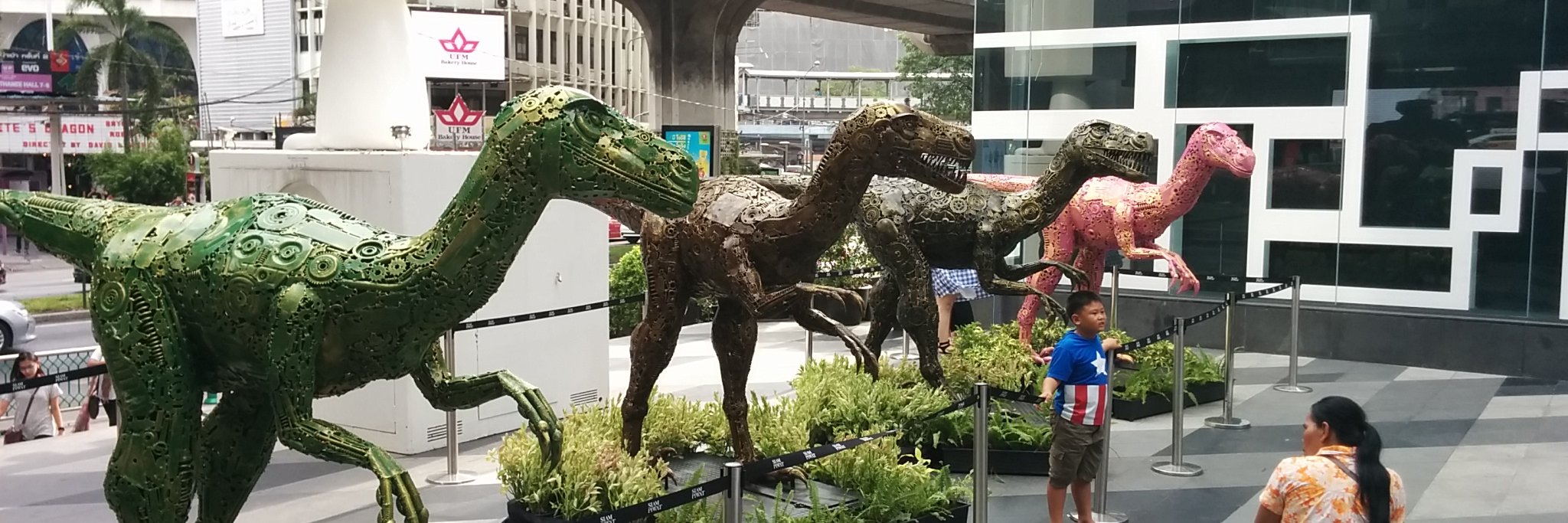 kaz-ueda-x3f🚴 banner