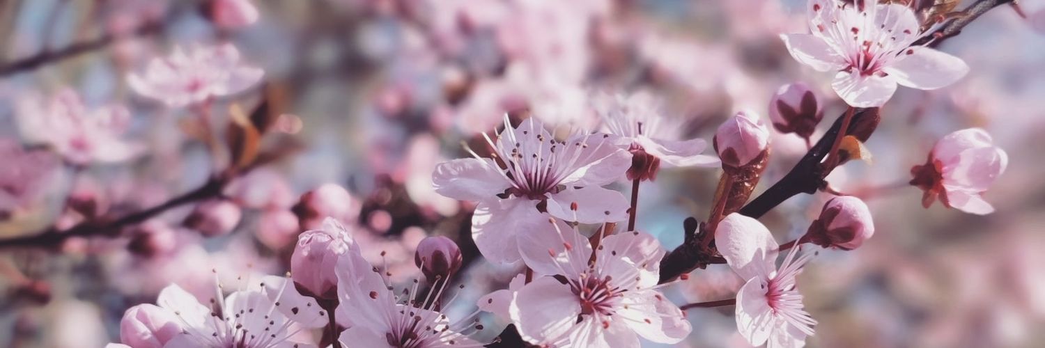 AmbreMakeup's profile banner image