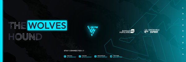 TWH Esport 🐺 Profile Banner